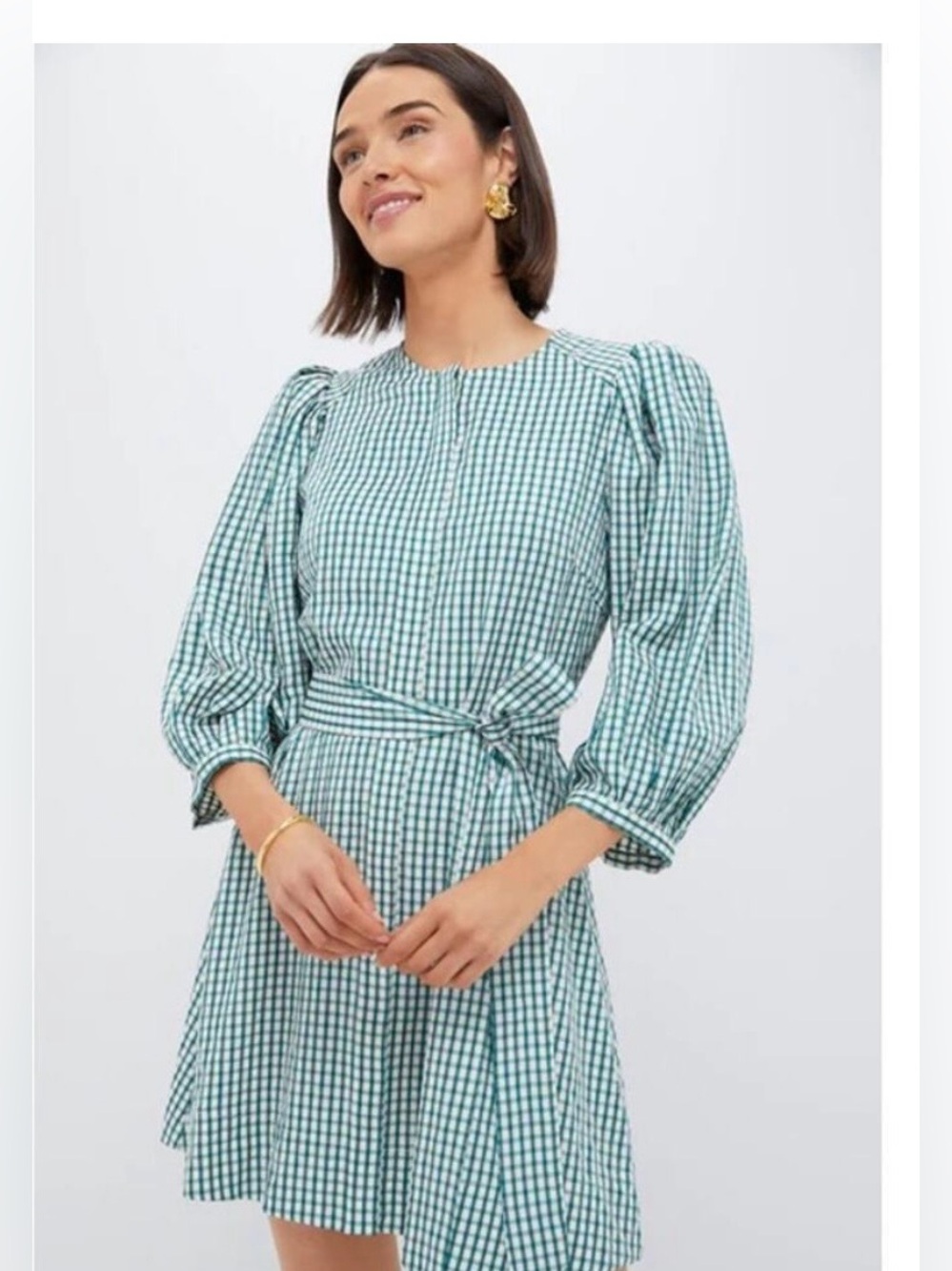 Pomander Place green gingham seersucker cordelia dress /no belt